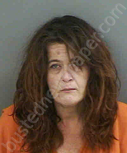 SANCHEZ,JENNIFER #, Collier County, Florida - 2023-05-27