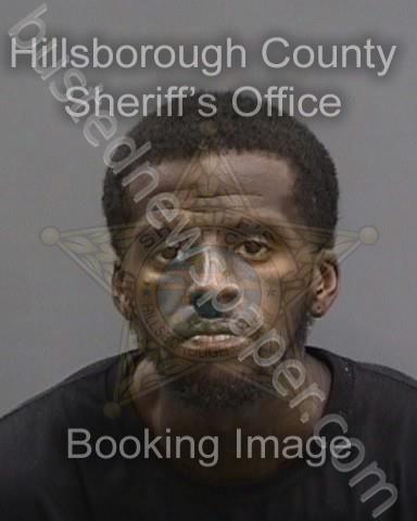 HOUSTON,GEORGE III #, Hillsborough County, Florida - 2023-05-27 19:24:00