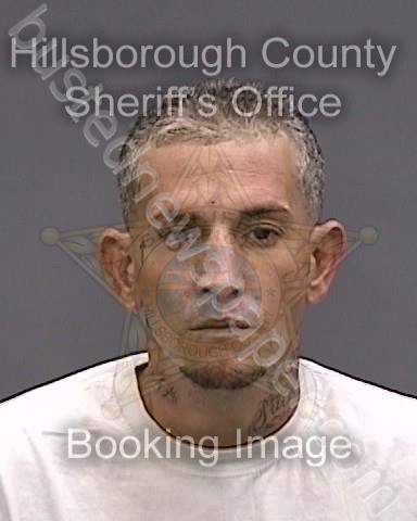 RODRIGUEZ GOMEZ,ANGEL #, Hillsborough County, Florida - 2023-05-29 20:01:00