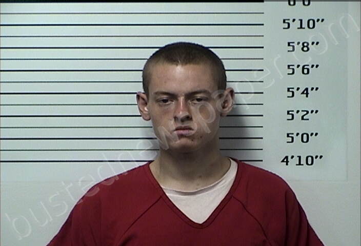 ANDERSON, PATRICK DANIEL #, Rhea County, Tennessee - 2023-05-29
