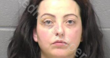 JOHNSON, MELISSA M | 2023-05-30 00:28:00 Will County, Illinois Booking