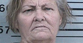 NELSON, VICKI LYNE | 2023-05-31 11:40:24 Hood County, Texas Booking