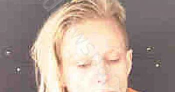 <B>HARNISH</B>, <B>LAURANNE</B> <B>NOELLE</B> <B>CELEST</B> #, Sarasota County, Florida - 2023-05-31