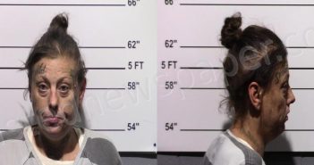 <B>ODELL</B>, <B>ASHLEY</B> <B>DENISE</B> #, Gillespie County, Texas - 2023-05-31