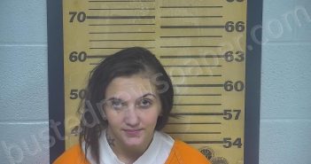 BRANT, KIERSTEN LYNN | 2023-06-01 01:26:00 Ottawa County, Ohio Booking