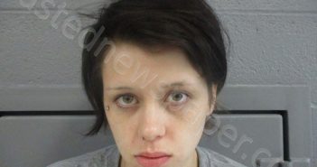 MARTIN, CHEROKEE DIANE | 2023-06-01 23:25:00 Taylor County, West Virginia Booking