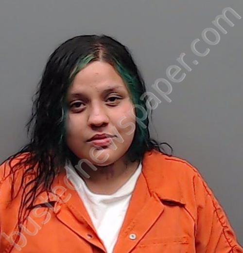 RAMIREZ, ASHLEY NICOLE #, Smith County, Texas - 2023-06-01