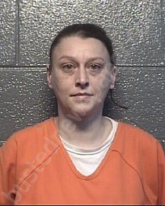 ADKINS, DIANA DENISE | 2023-06-02 Danville PD, Virginia Booking