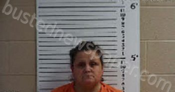 WHITAKER, KIMBERLY MICHELLE | 2023-06-02 09:07:00 Cherokee County, North Carolina Booking