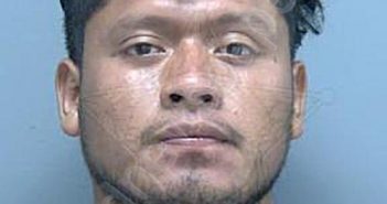 <B>LOPEZ</B> <B>TOMAS</B>, <B>RONY</B> <B>ANIBAL</B> #, Lee County, Florida - 2023-06-02 03:58:00