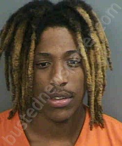 YOUNG,TRAVIS OMETREIS-BOYDA | 2023-06-04 Collier County, Florida Booking