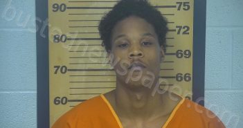 YOUNG, TY’RELL E | 2023-06-04 03:58:00 Ottawa County, Ohio Booking