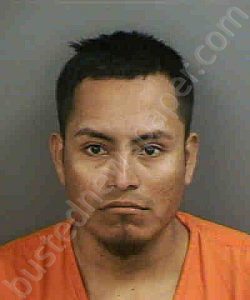 ALONZOPEREZ,MANUEL | 2023-06-05 Collier County, Florida Booking