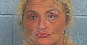 <B>WANDKE</B>, <B>BRITTANY</B> <B>NICOLE</B> #, Etowah County, Alabama - 2023-06-05 00:40:28