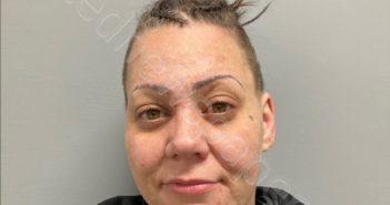 GARNETT RENEE CANTLIN | 2023-06-06 Henry County, Virginia Booking