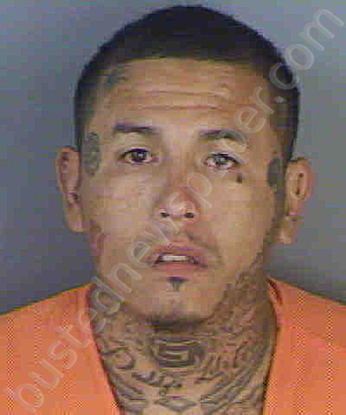 RAMIREZ,MARTIN #, Collier County, Florida - 2023-06-06