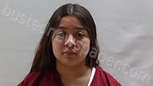 NOYOLA VALENTINA ANAHI #, Cameron County, Texas - 2023-06-07