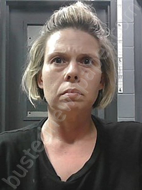 HAMILTON, ASHLEY RENEA #, Johnson County, Arkansas - 2023-06-07 17:35:00