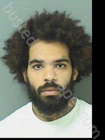 URENA, GABRIEL #, Palm Beach County, Florida - 2023-06-07 12:16:00