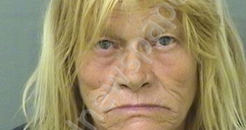 <B>JOHNSON</B>, <B>SUSAN</B> <B>LYNN</B> #, Palm Beach County, Florida - 2023-06-08 00:23:00