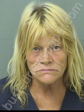 JOHNSON, SUSAN LYNN #, Palm Beach County, Florida - 2023-06-08 00:23:00