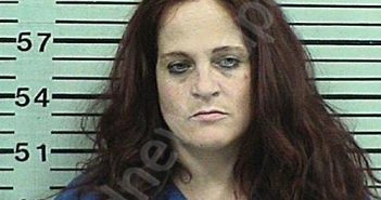 DAVIS, ALISON ADRIENNE | 2023-06-08 23:09:07 Hood County, Texas Booking