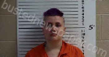 HAMILTON, ERIN CLAUDIA | 2023-06-09 14:32:00 Cherokee County, North Carolina Booking