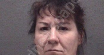 ALSTEEN, JEANNA ANGELA | 2023-06-10 Muskegon County, Michigan Booking