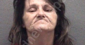 YOUNG, DARCIE ANN | 2023-06-10 Muskegon County, Michigan Booking