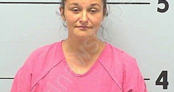 BROWN, MARY ELIZABETH | 2023-06-11 23:41:00 Burke County, North Carolina Booking