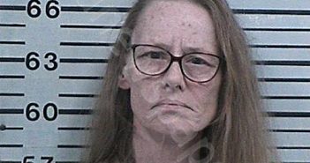 ELLIS, SHERI LEE | 2023-06-12 12:02:19 Hood County, Texas Booking