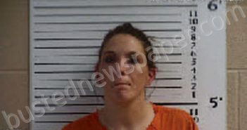 CROWDER, SHANDA DJ | 2023-06-12 19:53:00 Cherokee County, North Carolina Booking
