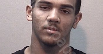 <B>YOUNG</B>, <B>NATHAN</B> LEE-ARON #, Harris County, Texas - 2023-06-13 15:08:00