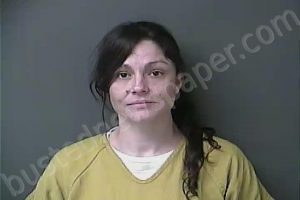 LAWLESS, STEFANIE EILEEN | 2023-06-14 09:01:00 Howard County, Indiana Booking