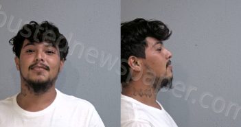 <B>VILLAFANA</B>, <B>LUIS</B> <B>DAVID</B> #, Hidalgo County, Texas - 2023-06-15