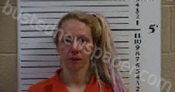FARMER, KYNDRA NICOLE | 2023-06-15 15:22:00 Cherokee County, North Carolina Booking