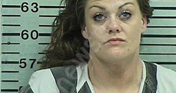 LEWIS, DEVON MICHELLE | 2023-06-17 23:28:49 Hood County, Texas Booking