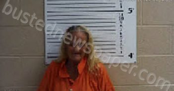 GENTLE, ROBERTA SUE | 2023-06-19 23:28:00 Cherokee County, North Carolina Booking