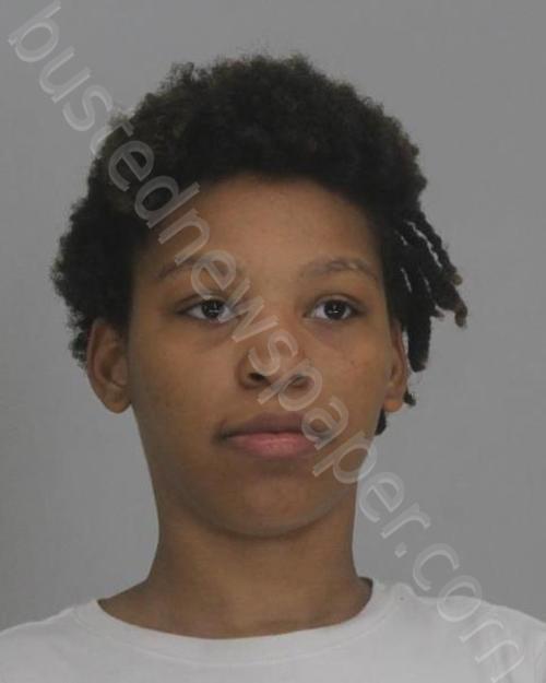 FIELDS, DESTINY #, Dallas County, Texas - 2023-06-20 15:56:00