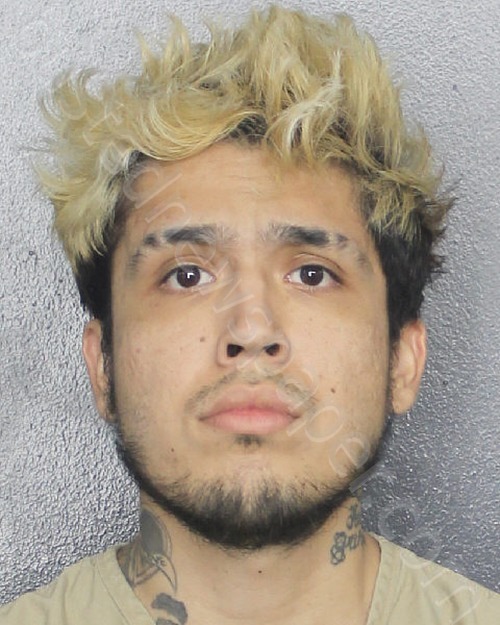 GARCIA, DANIEL ARMANDO #, Broward County, Florida - 2023-06-21