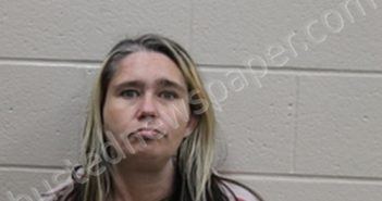 STEPHANIE RENEE WISE | 2023-06-21 11:24:00 Andrew County, Missouri Booking