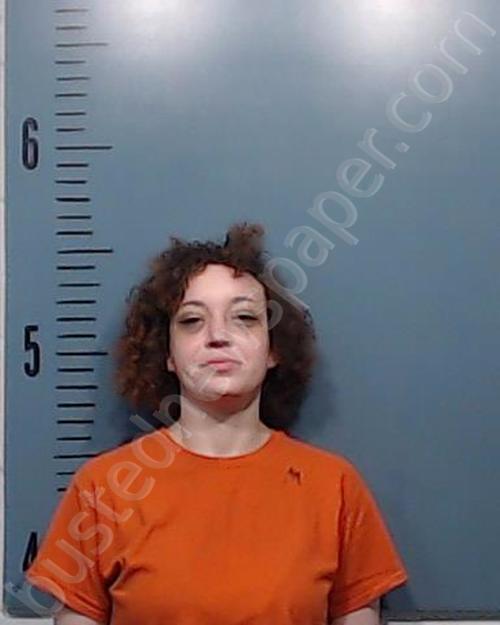 WRIGHT, GABRIELLE RENEE #, Taylor County, Texas - 2023-06-24