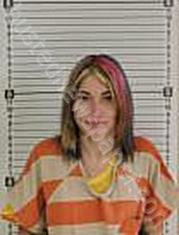 WARD, BREEANNA NICOLE #, Williams County, North Dakota - 2023-06-25