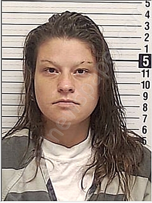 WILLIAMS, AMBER, LYNN #, Bay County, Florida - 2023-06-26 09:23:00