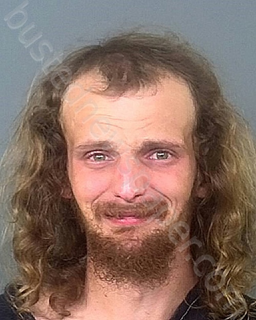 COOK, DEVIN A #, Manatee County, Florida - 2023-06-29