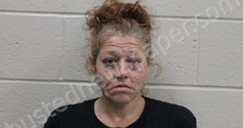CRYSTAL DAWN TRACY | 2023-06-30 01:20:00 Andrew County, Missouri Booking