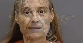 HARTZLER,JULIE | 2023-06-30 12:14:00 Hillsborough County, Florida Booking