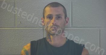BLAND, BRANDON N. | 2023-06-30 15:55:00 Pulaski County, Kentucky Booking