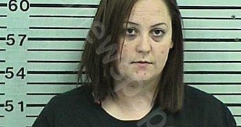 HOLMESLY, DESIREE MICHOLE | 2023-06-30 16:20:30 Hood County, Texas Booking