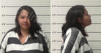 MENDEZ, LILIANA ARELI | 2023-07-01 Kerr County, Texas Booking